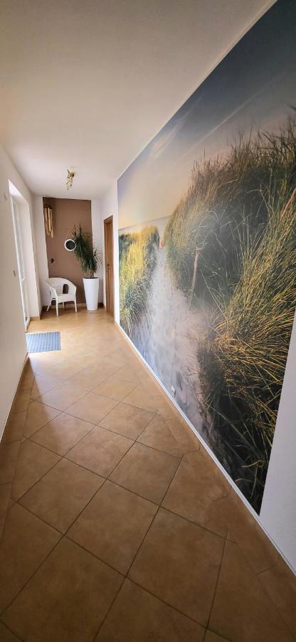 Emada- Pokoje Goscinne I Studia Ostrowo  Exteriér fotografie